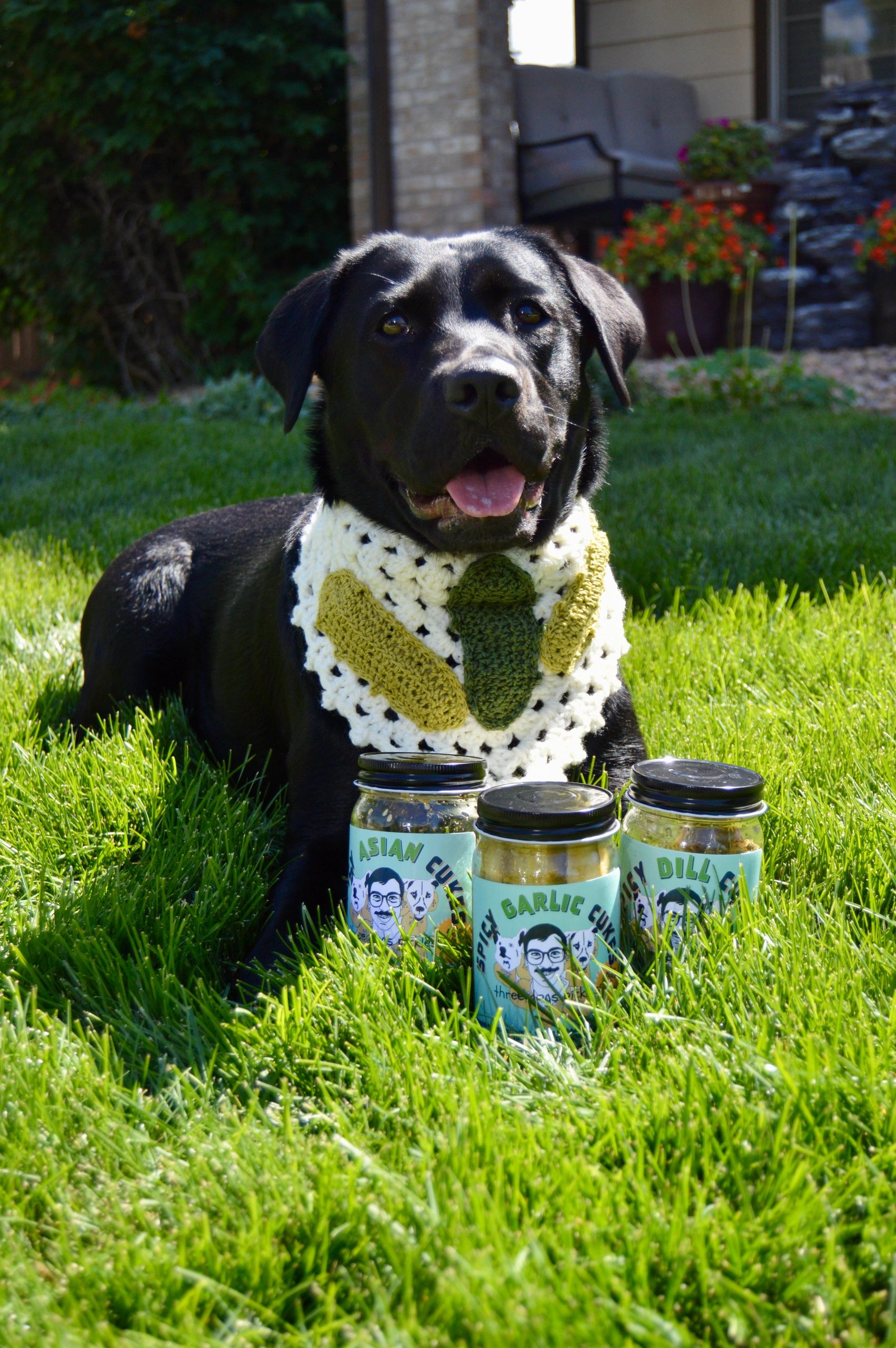 Three Dogs Pickles Pickle, Food, Online Store