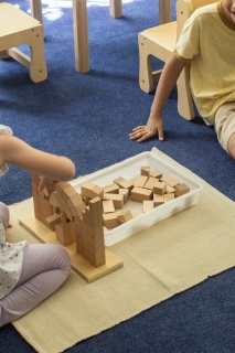 Bumblebee Montessori House