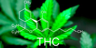 Hemp based THC CBD products