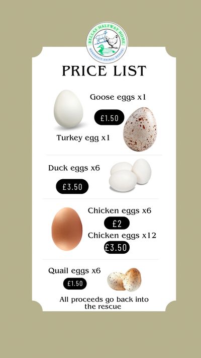 Price list of various eggs with images and prices from a rescue.