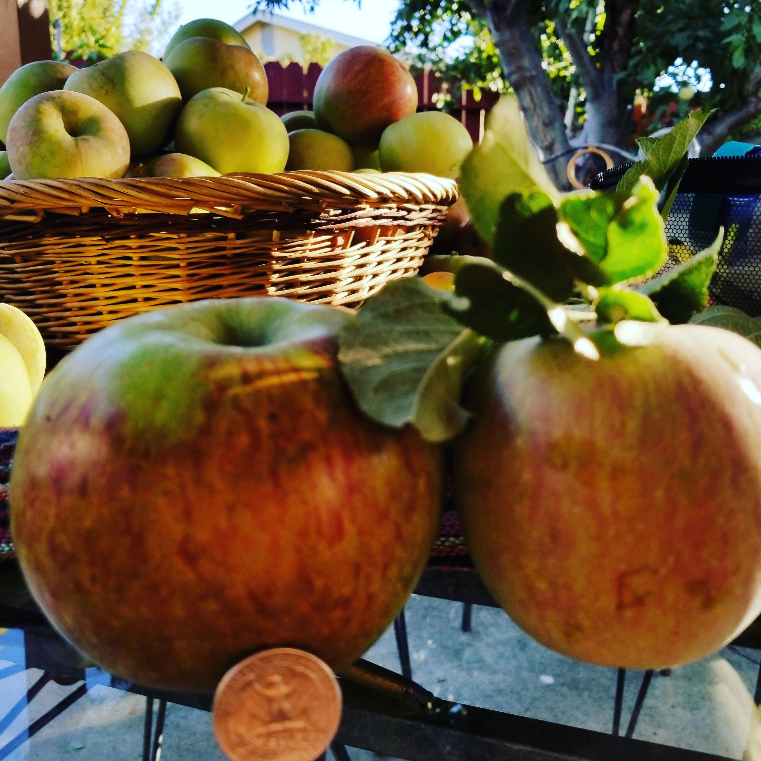 It's Apple time