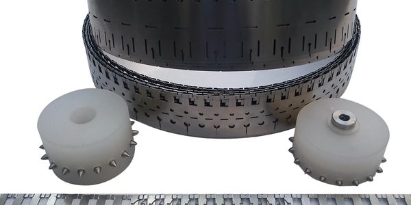 Star Perforated Belt