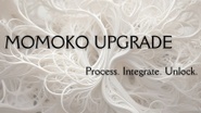 Momoko Upgrade