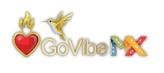 GoVibeMX