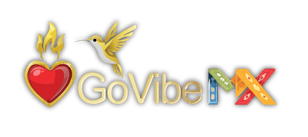 GoVibeMX