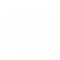 Your Zebra Adventures