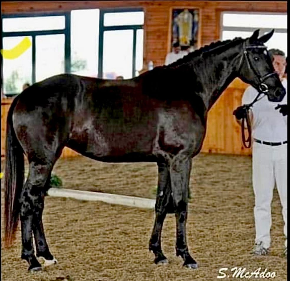 SpPr/El Rondevoux at her MPT in 2006