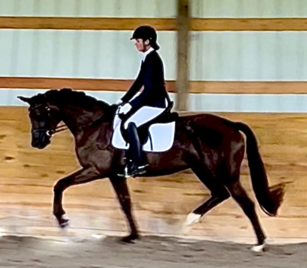 VbPrSt Glücksfreude at her MPT