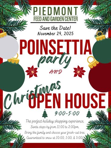Poinsettia Party & Christmas Open House