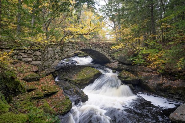 Stone bridge over a rushing stream in a forest.