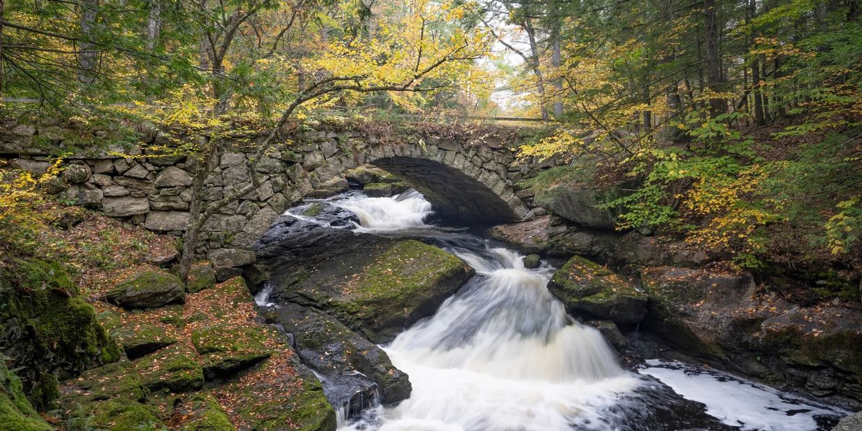 Stone arch bridge over a flowing stream in a forest.