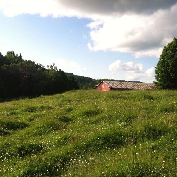 A red barn behind a lush green field under a partly cloudy sky.