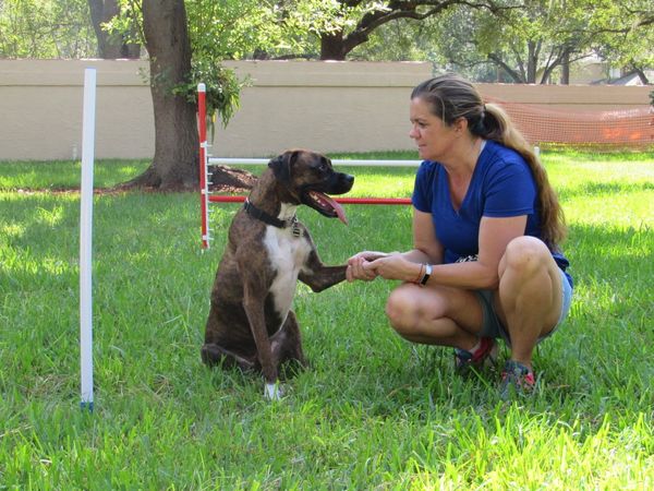 Woman training dog to shake paw outdoors.