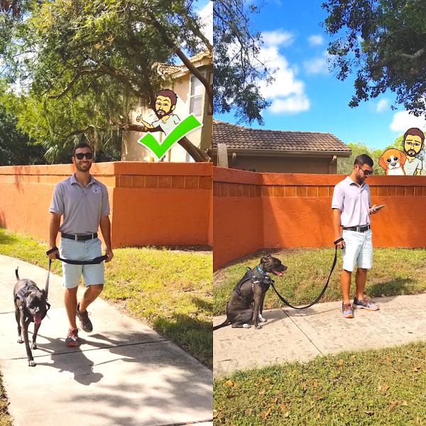 Man walking a dog happily vs. man distracted with phone while dog waits.