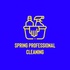 Spring Professional Cleaning