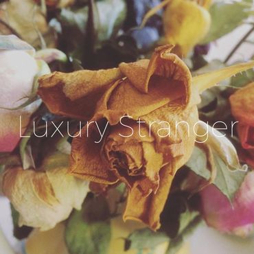 When The Lady Takes The Blame by Luxury Stranger [2017]