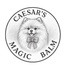 Caesar's Magic Balm