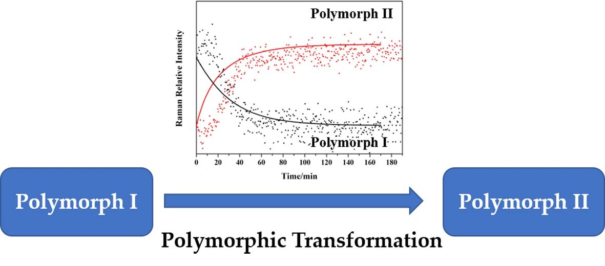 Using imaging to track a polymorph transition