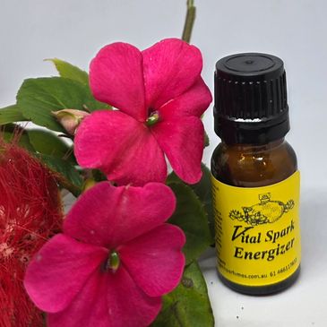 Vital Spark Energizer