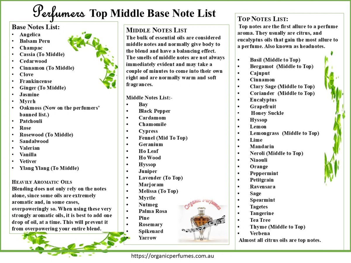 Top Notes Middle Notes Base Notes Examples Chart -Perfumers Top Middle & Base Note List