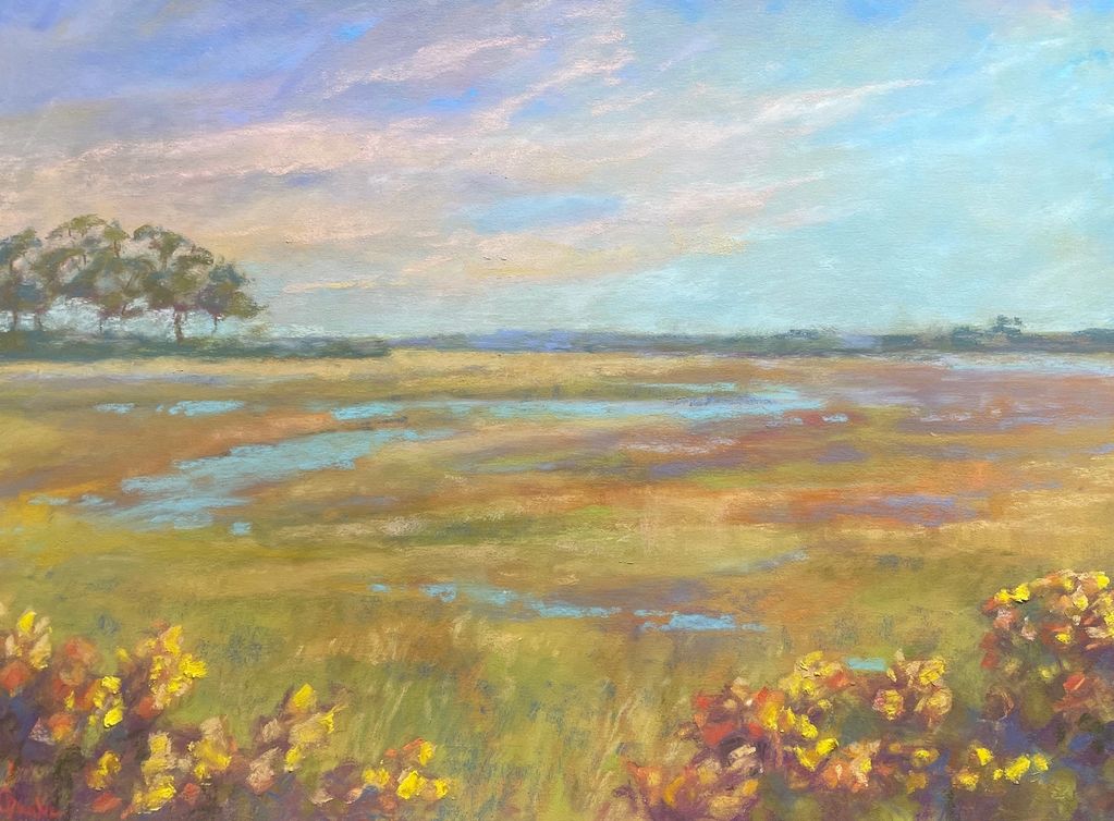 Evening Landscape of Marshes Ocean View, DE.