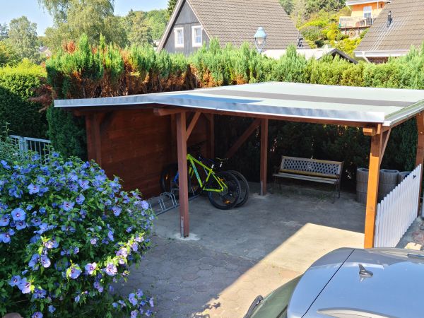 Seestern Umgebung
