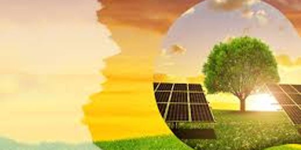 Face silhouette with solar panels and tree symbolizing green energy.