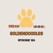 Dream Doodles Goldendoodles