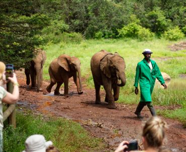 David Sheldrick Elephant Orphanage, Nairobi Kenya