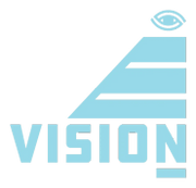 Vision4 Data Analytics Management & Consulting