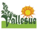 Conjunto Vallesue Flandes