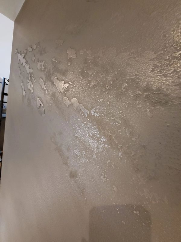 Wall with extensive paint peeling and moisture damage.