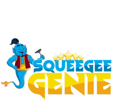 squeegeegeniemi.com