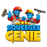 squeegeegeniemi.com