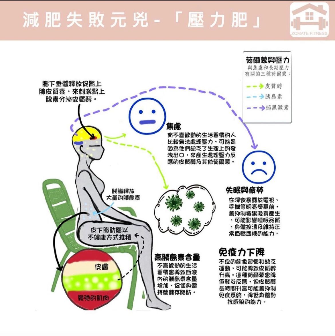 壓力肥 減肥失敗元凶 腎上腺皮質醇