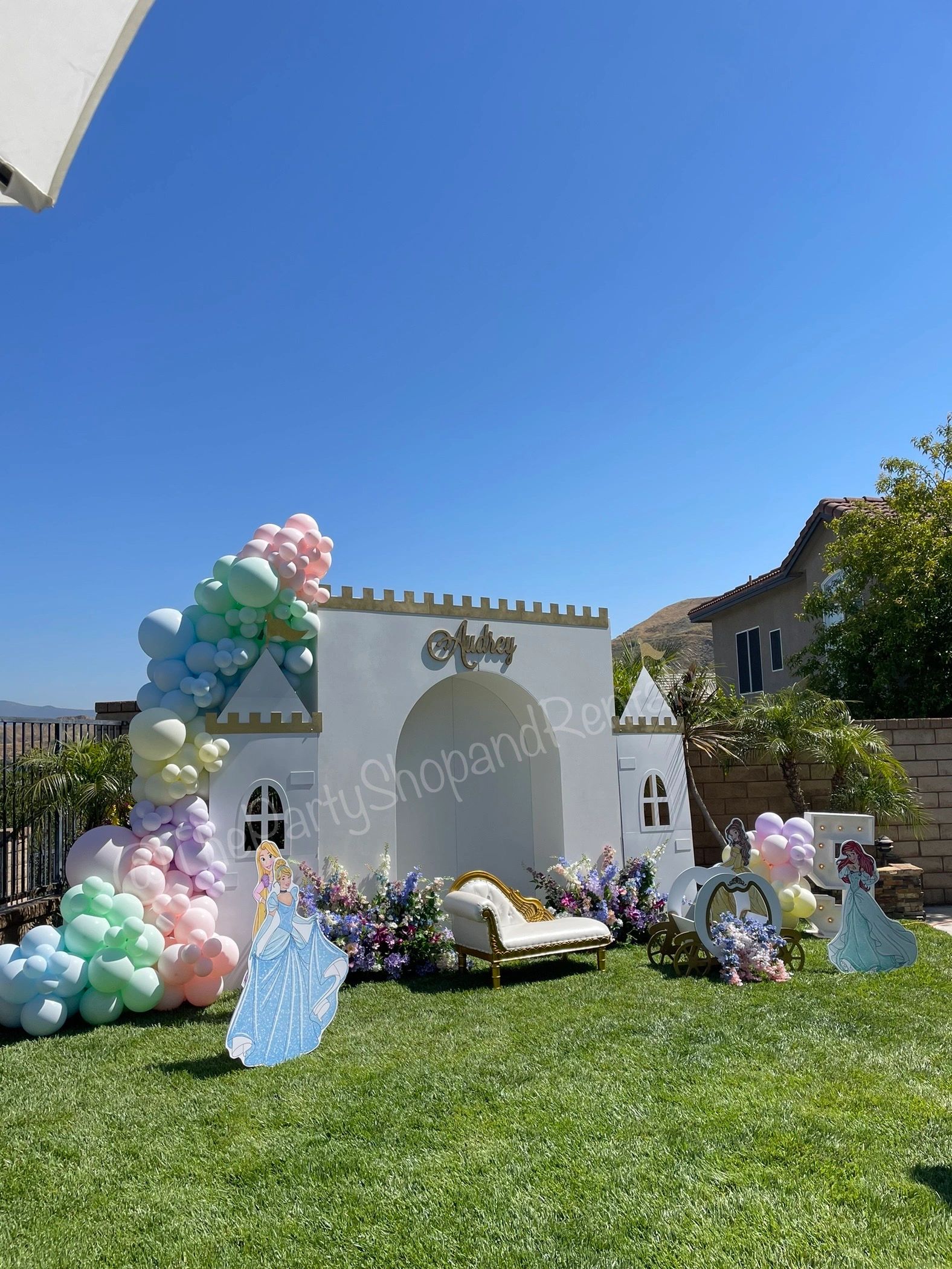 Party Rentals - The Party Shop and Rentals