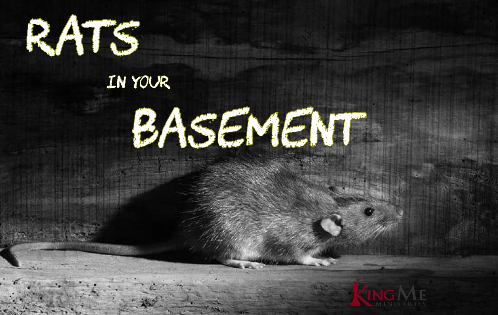 Rats in Your Basement
