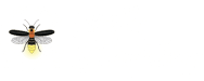 Firefly Tapestry Storytelling