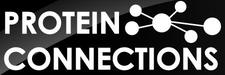 PROTEIN CONNECTIONS
