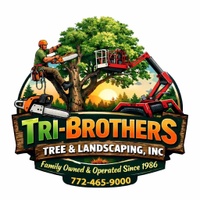 www.tribrostree.com