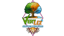 VERTLEX