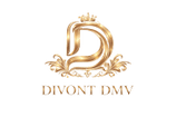 Divon DMV