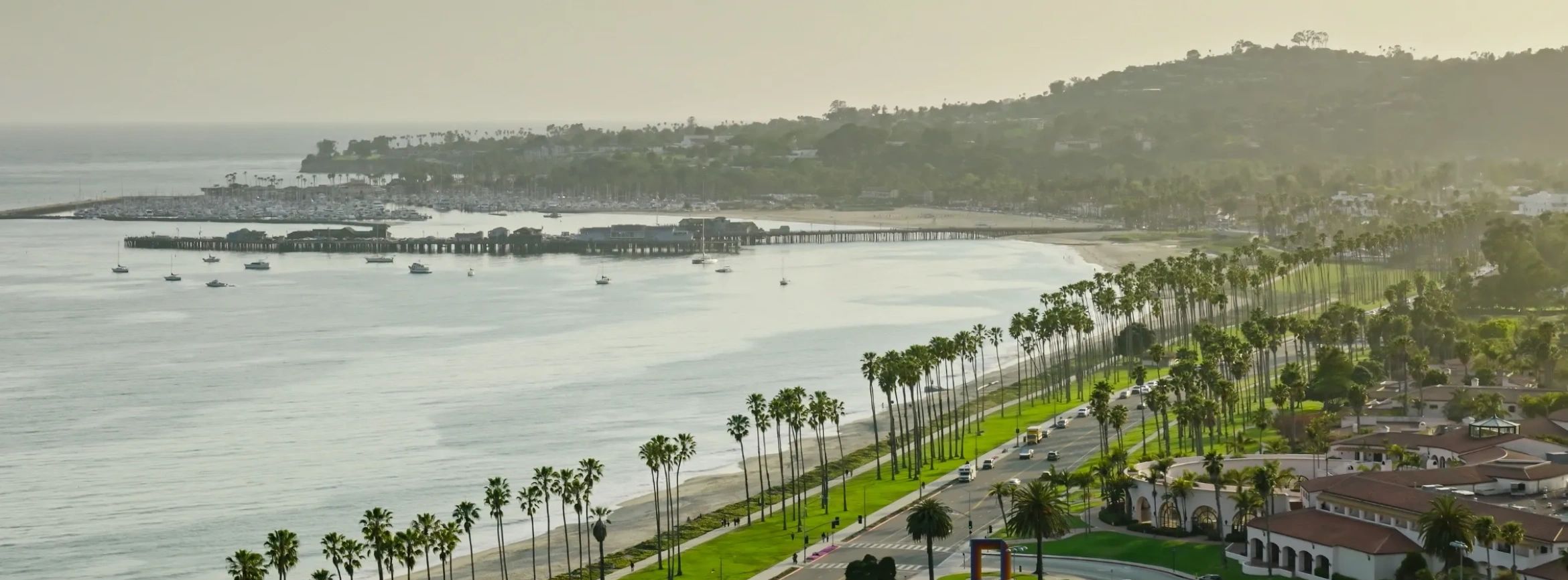 Coastal view with a pier, palm trees, and boats on calm water.