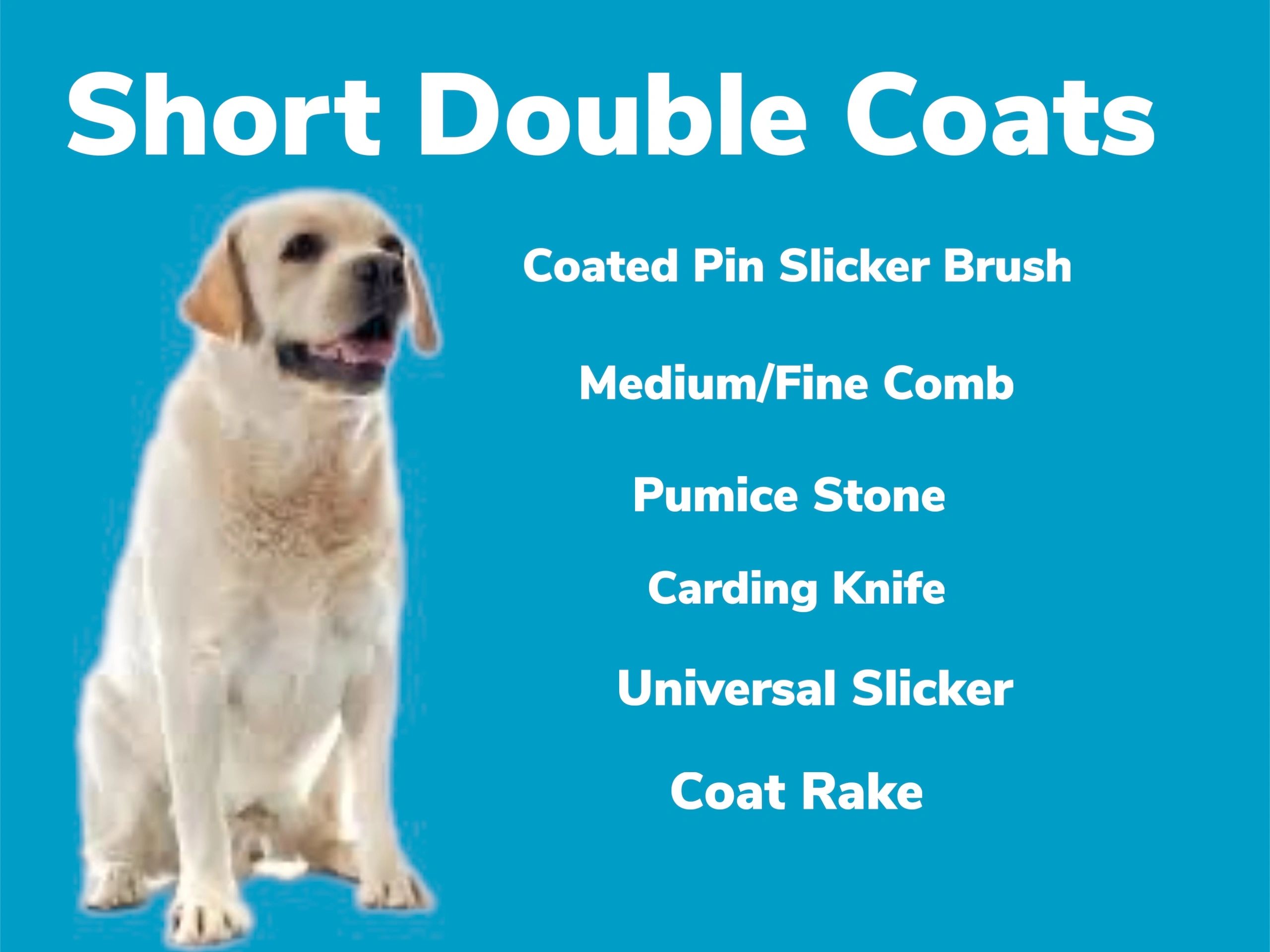 What Brush To Use On A Labrador