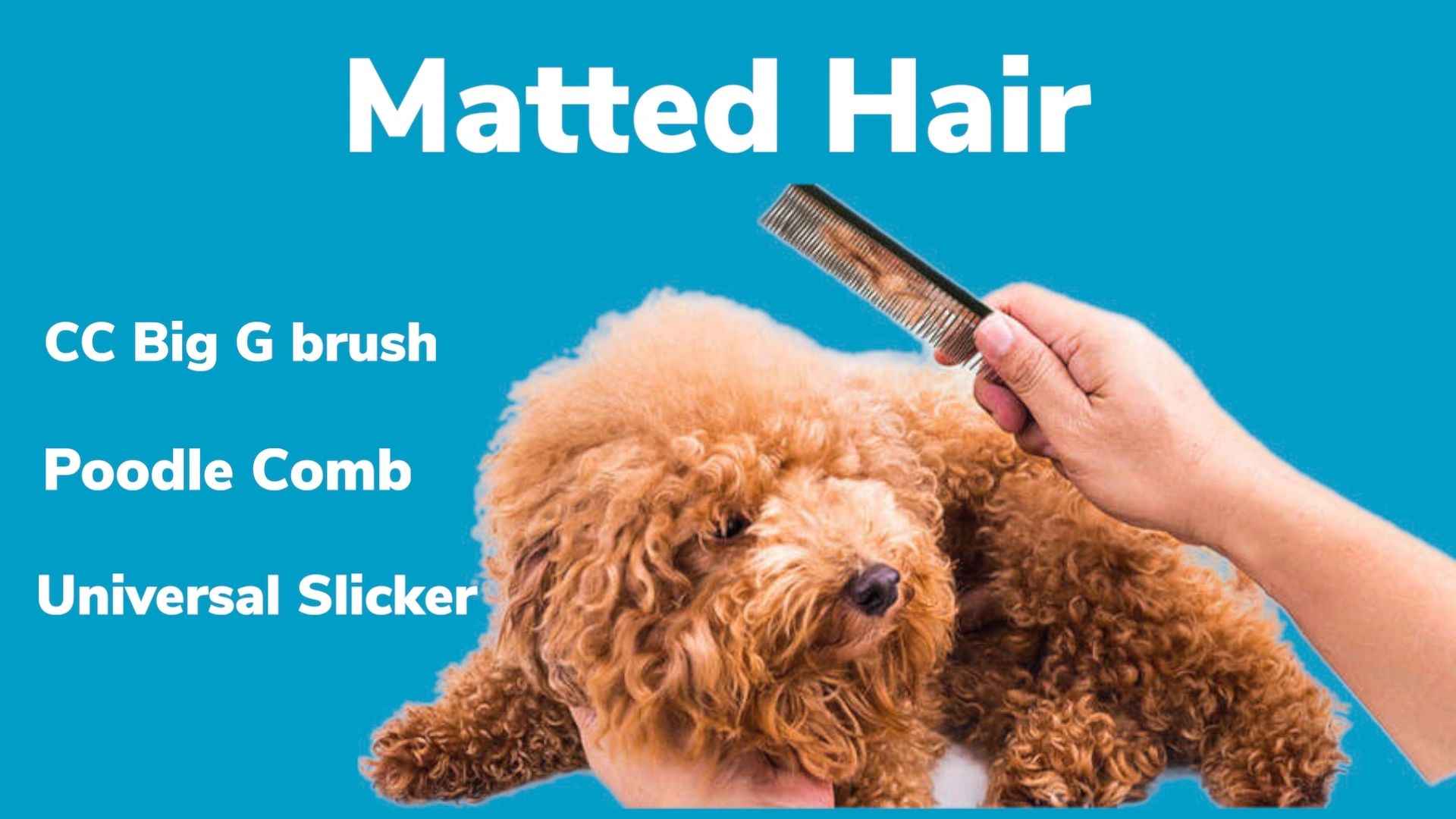 Brush for curly hair dog discount