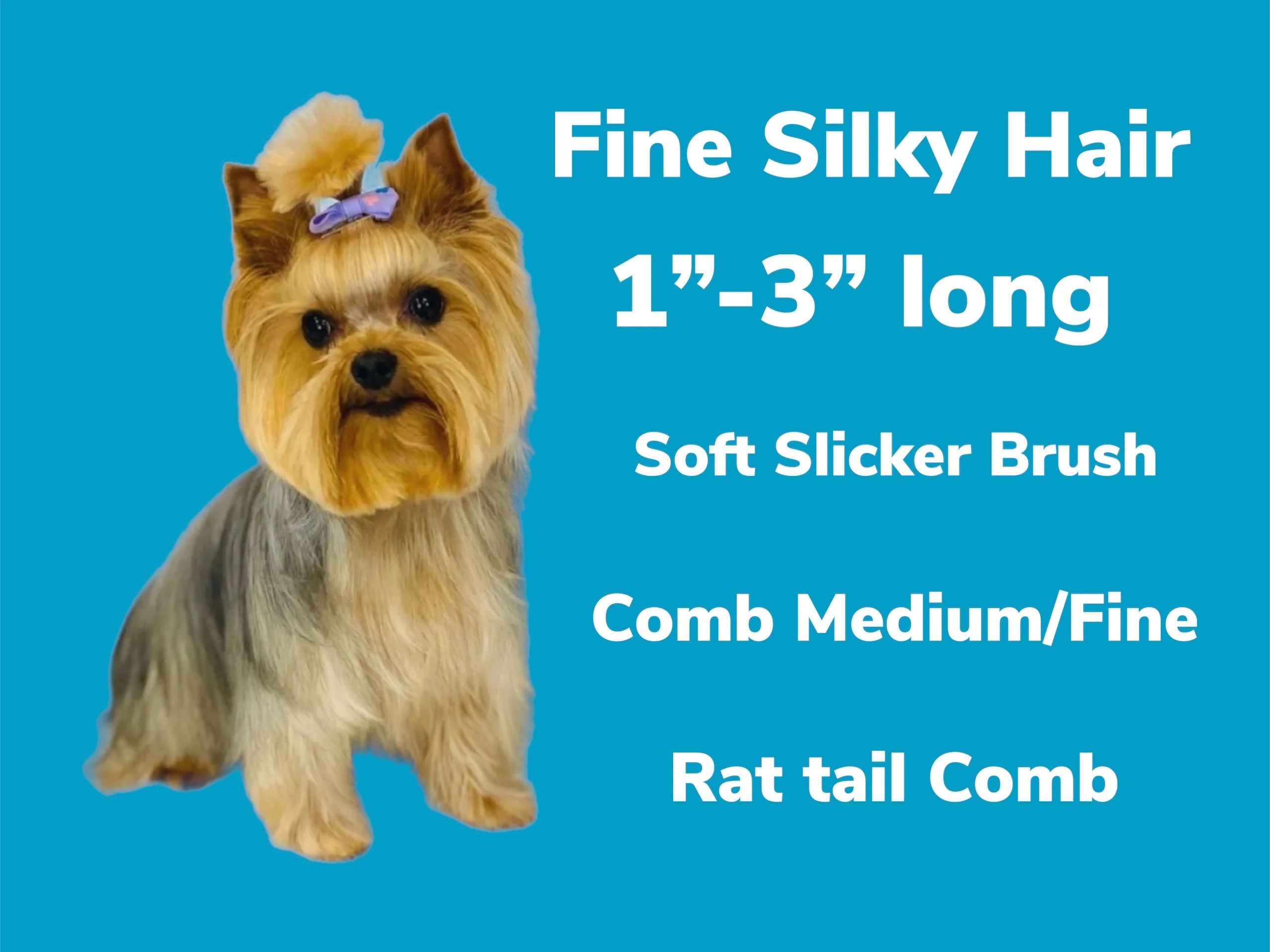 How to CHOOSE the right BRUSH and COMB for your DOG