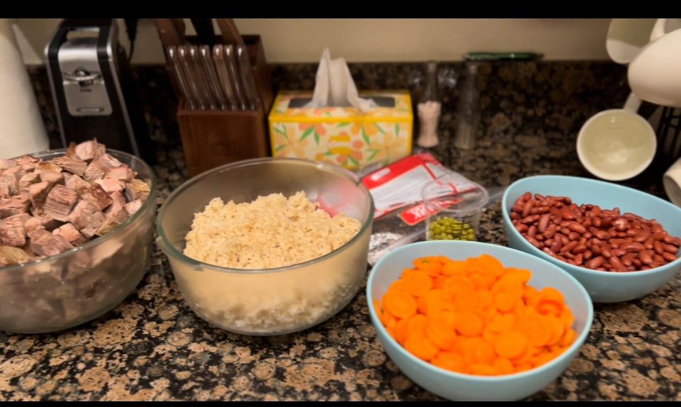 Homemade treats for dogs with sensitive stomachs hot sale