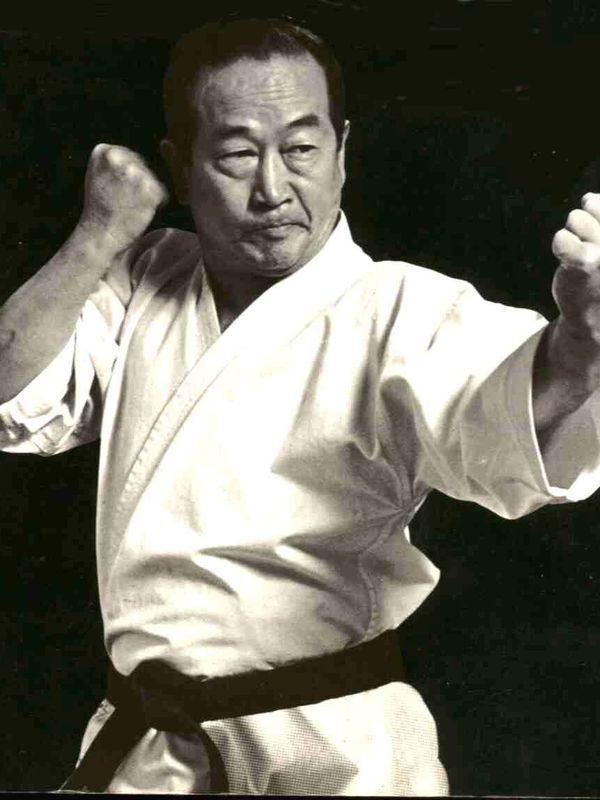 Martial artist in white gi with black belt poised in a fighting stance.