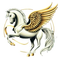 Sirian Star 
ALLIED HEALTH & SUPPORT NETWORK Pty Ltd