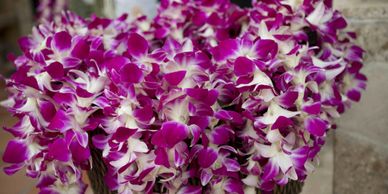 Vibrant purple and white orchids densely packed in baskets.